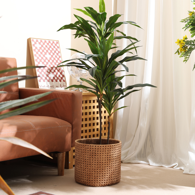 أثاث للشقق الصغيرة، أصيص زهور  - مراجعة Furniture Paradise & Hardware Ghaziabad وسعره